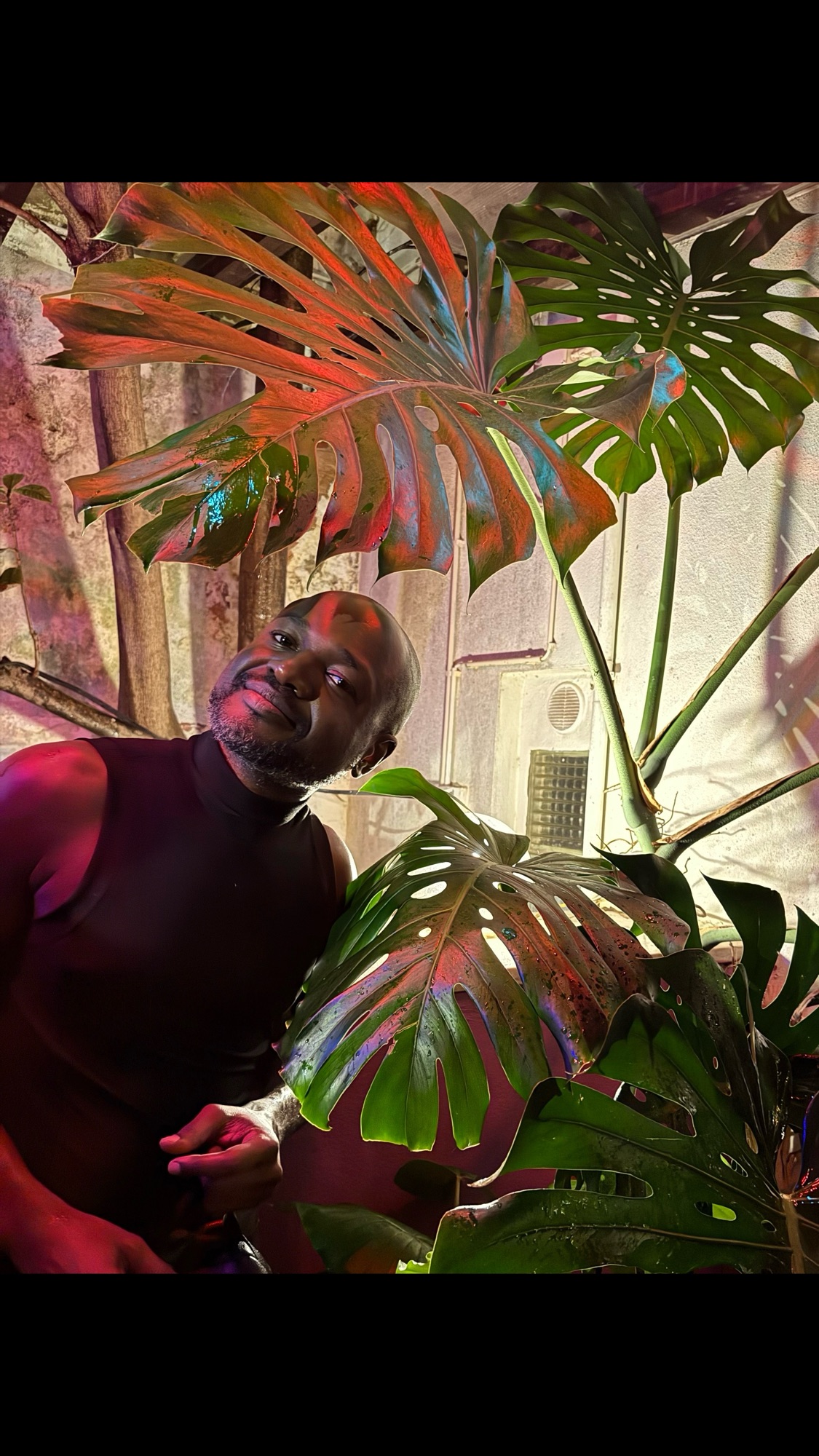 Amaris Vitae as a Lifestyle and Identity